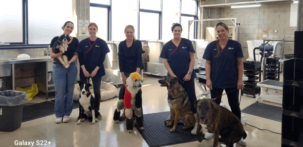 Animal sciences team with their dogs in new Yallourn grooming facility