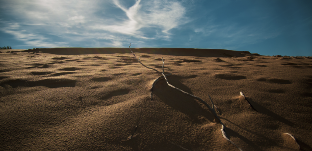 Sand Dunes by Alison Whiter 